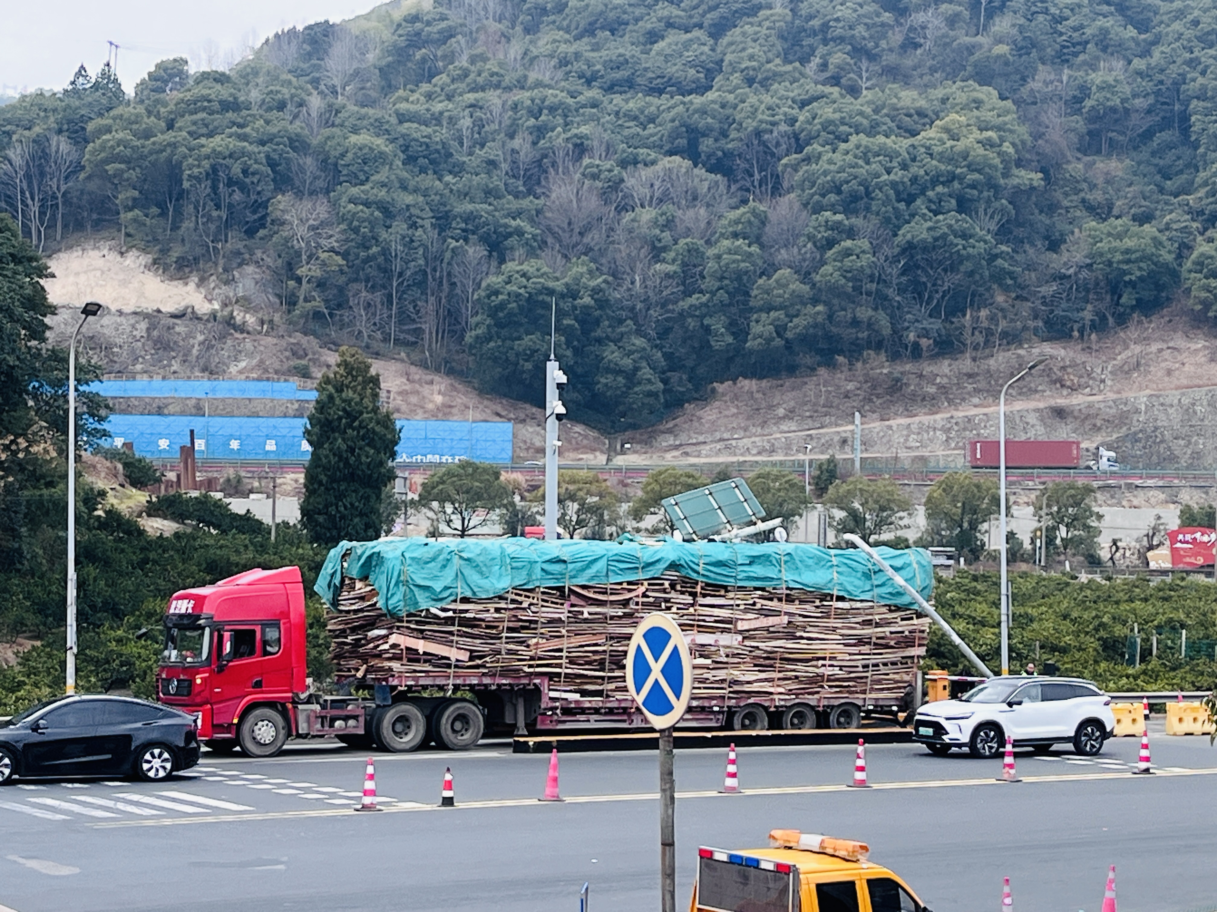 1739519366509949.jpg IMG_0568.JPG